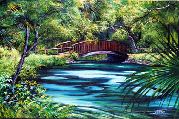 fern hammock foot bridge 2.jpg (112625 bytes)