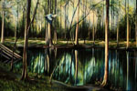 heron over the spring tn.jpg (15791 bytes)